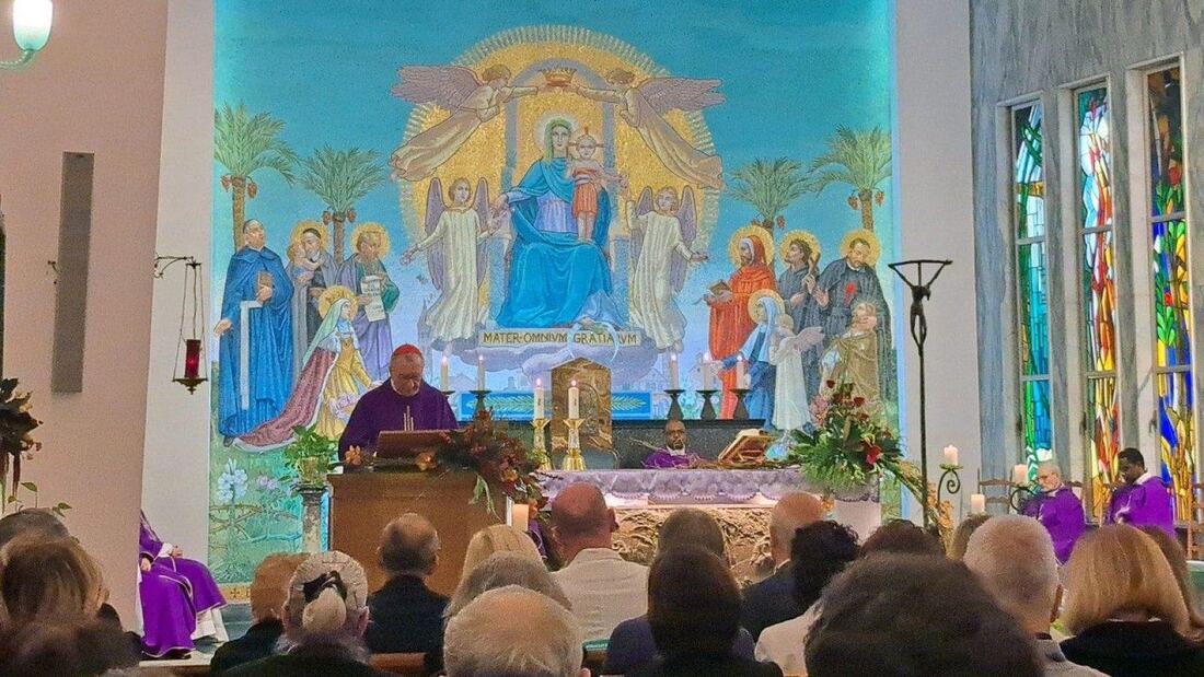 El cardenal Parolin preside misa en el Instituto Dermatológico de Roma